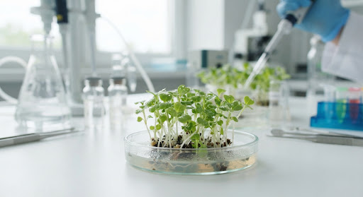 Genomic research